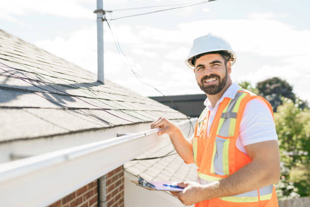 Professional Roofing Contractor
